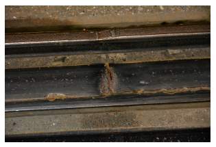 GLB_0015.JPG
